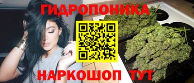 гашик Старая Купавна