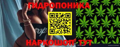 гашик Старая Купавна