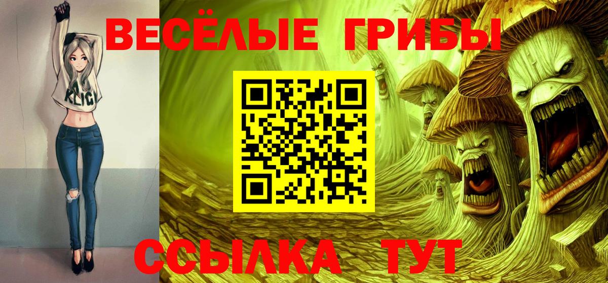 Псилоцибиновые грибы Cubensis Белогорск